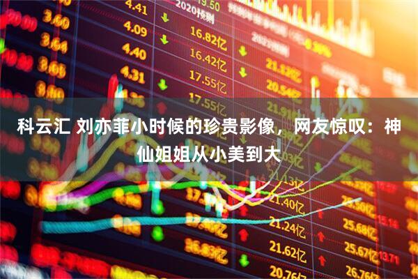科云汇 刘亦菲小时候的珍贵影像，网友惊叹：神仙姐姐从小美到大