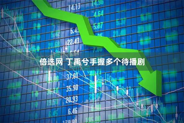 倍选网 丁禹兮手握多个待播剧