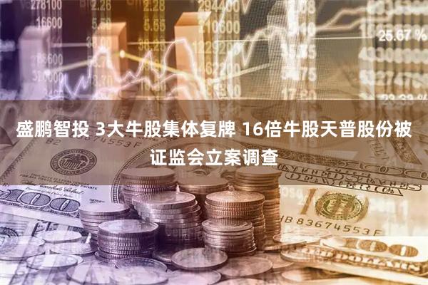盛鹏智投 3大牛股集体复牌 16倍牛股天普股份被证监会立案调查